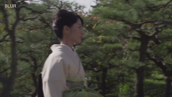 speedDeblur GIF
